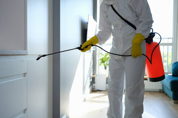 Professional Mold Remediation in Hampton Beach, NH